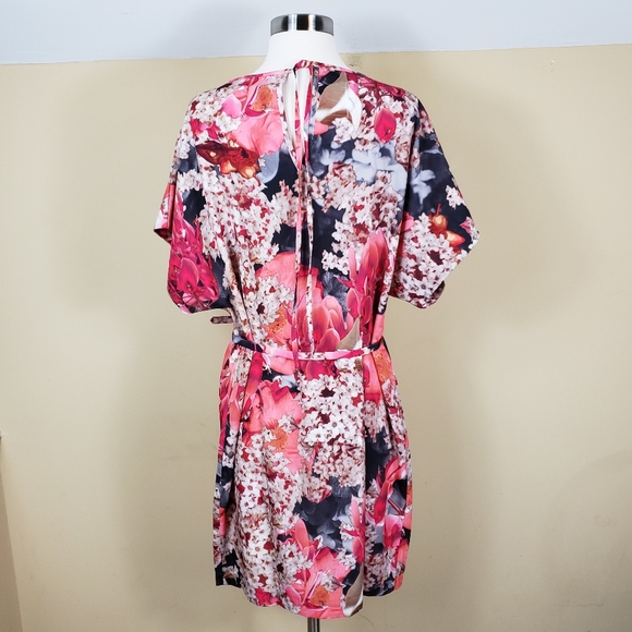 Ted Baker Pink Floral Dress - Picture 3 of 8